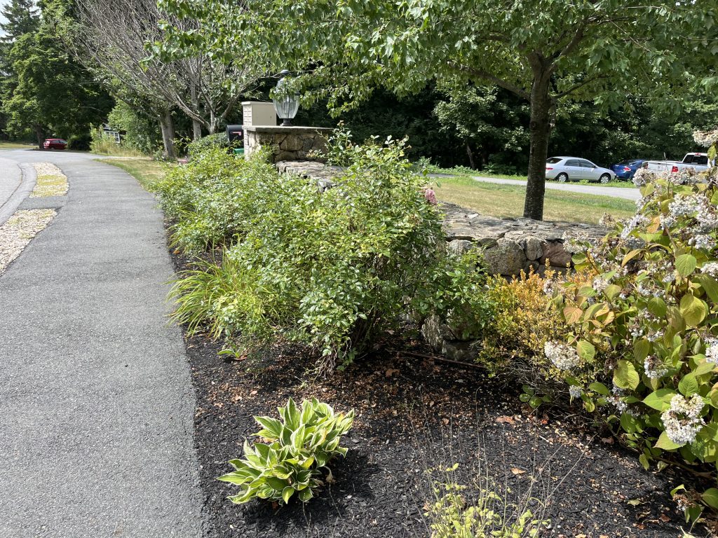 Edmund's Cove Danvers Entrance